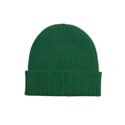 Colorful Standard Beanie: KELLY GREEN (Green)