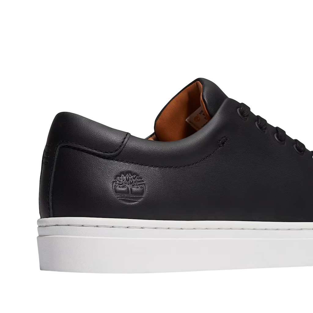 Timberland Dover Park Sneaker: BLACK