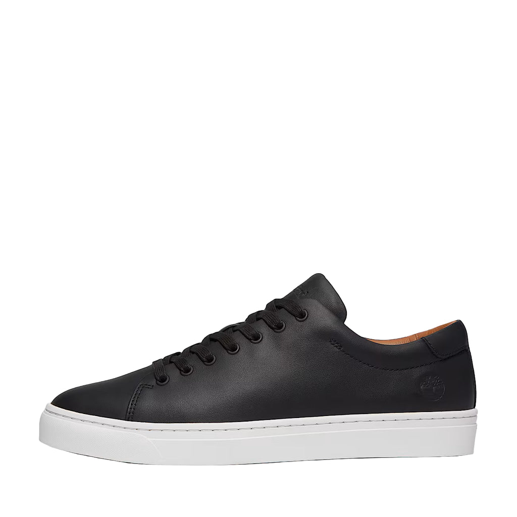 Timberland Dover Park Sneaker: BLACK