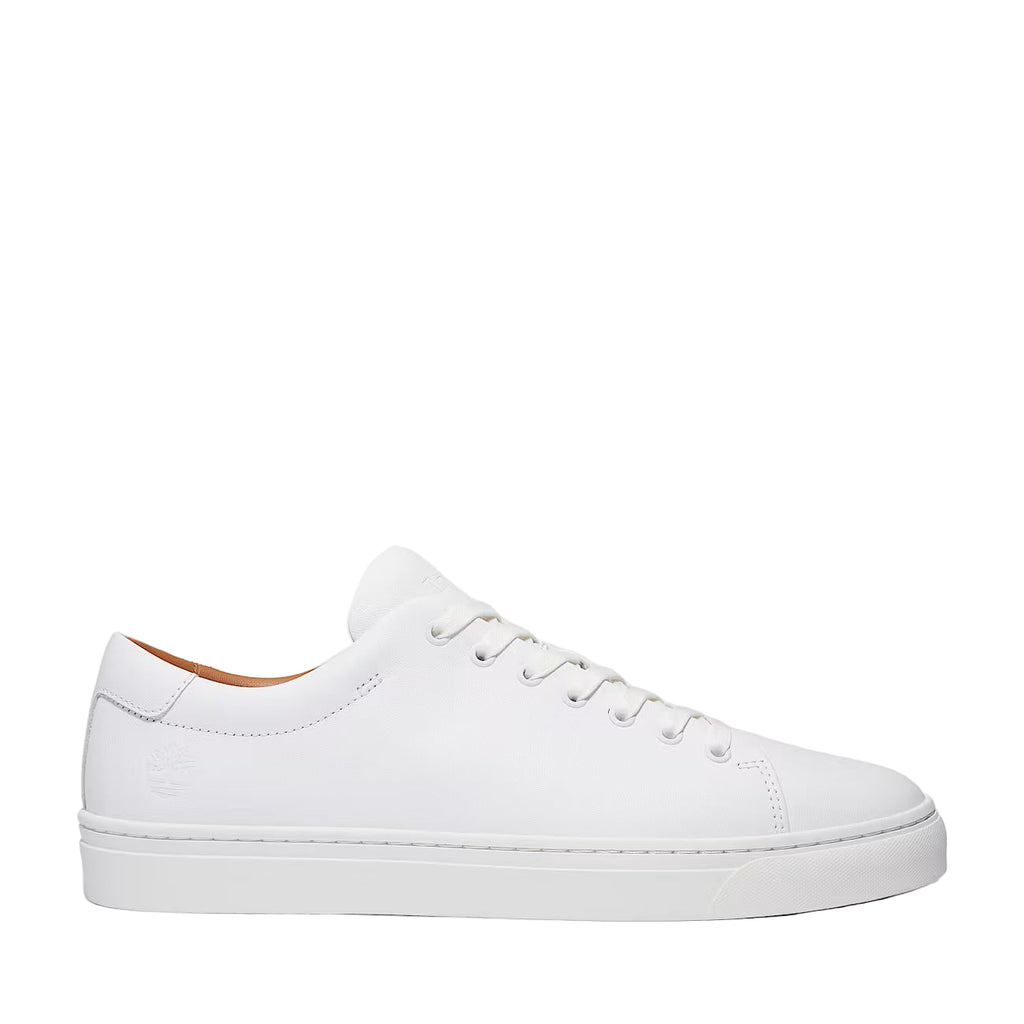 Timberland Dover Park Sneaker: WHITE