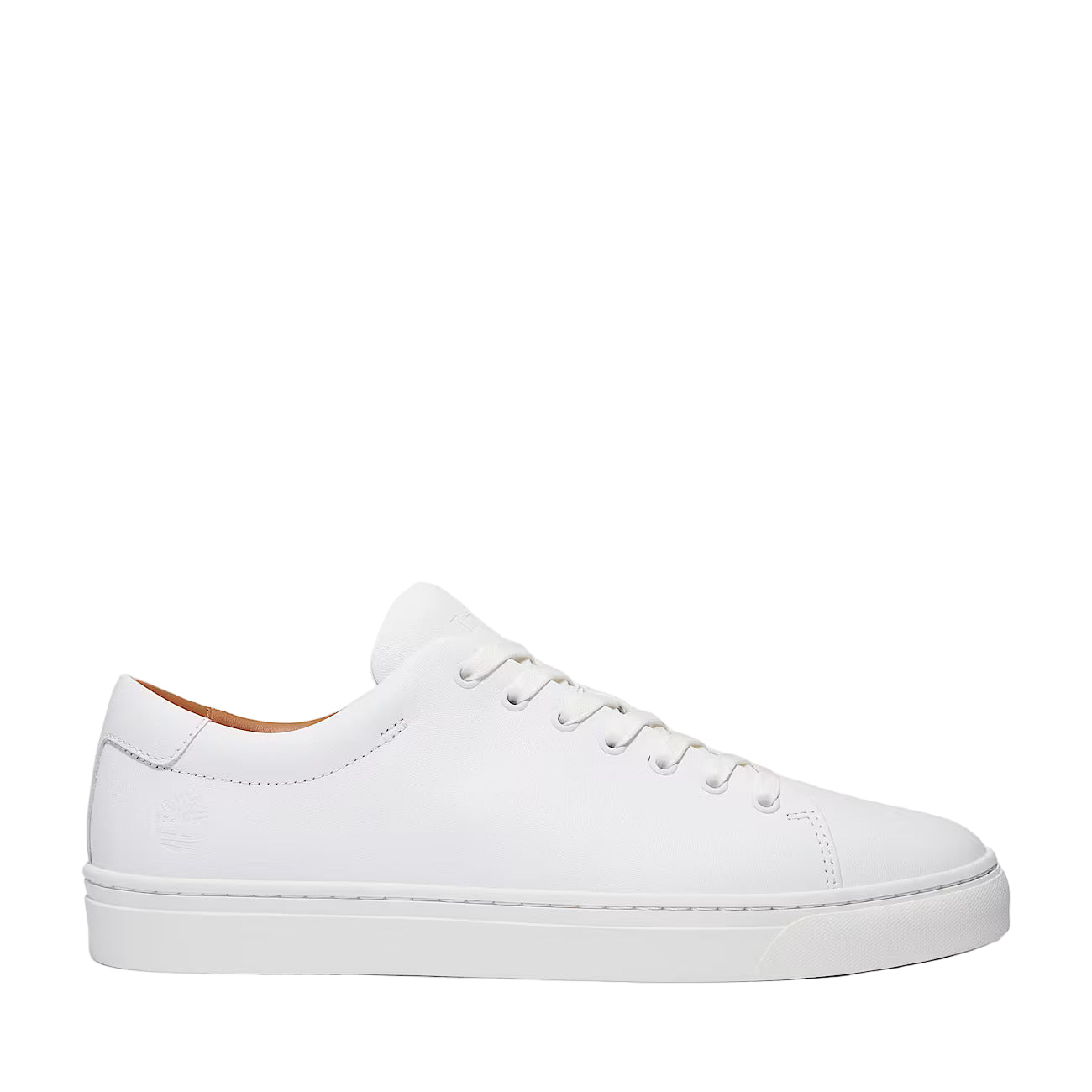 Timberland Dover Park Sneaker: WHITE
