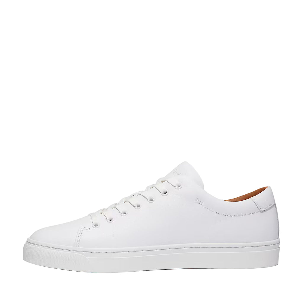Timberland Dover Park Sneaker: WHITE