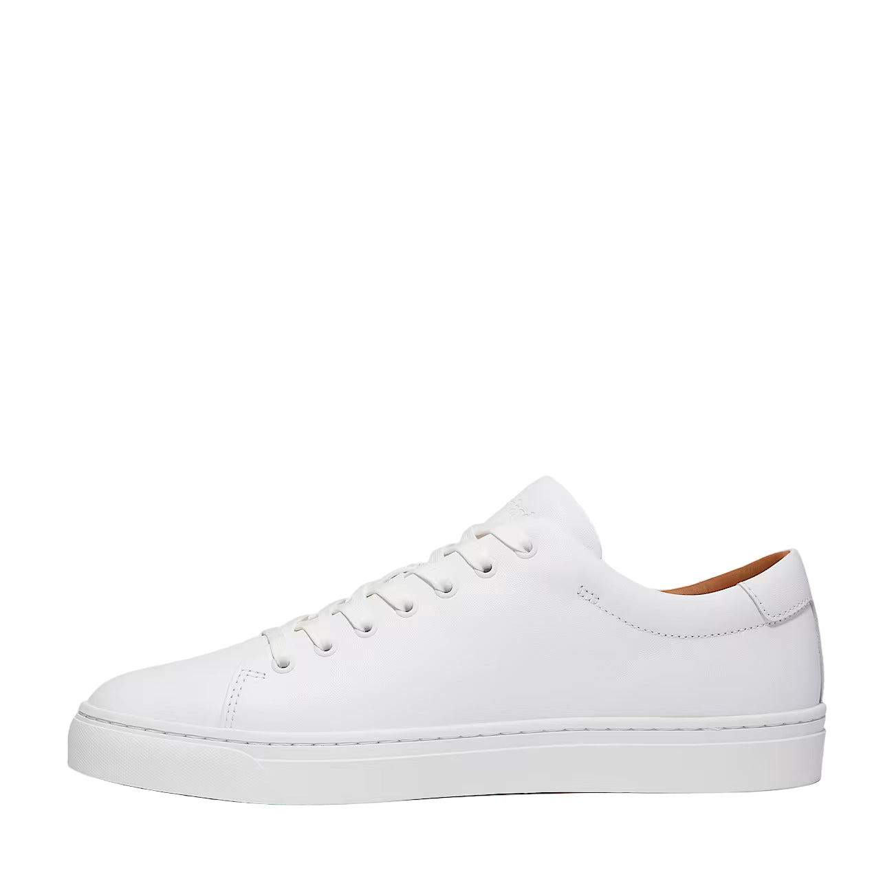 Timberland Dover Park Sneaker: WHITE