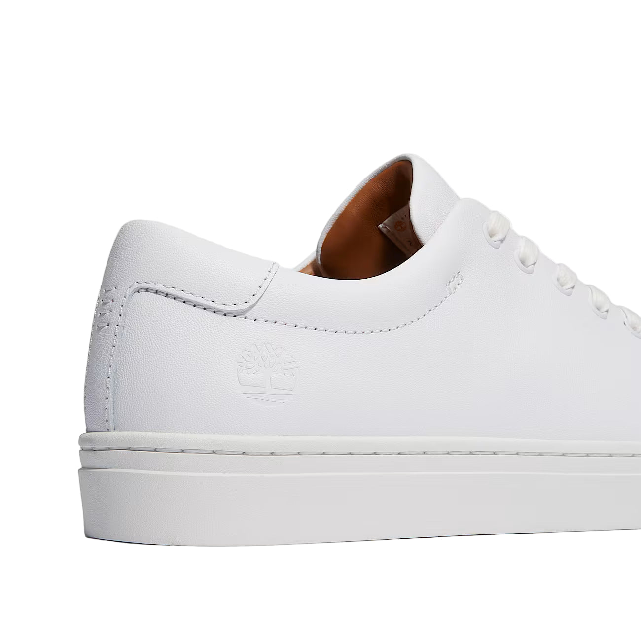 Timberland Dover Park Sneaker: WHITE