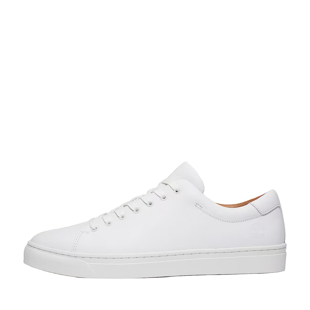Timberland Dover Park Sneaker: WHITE